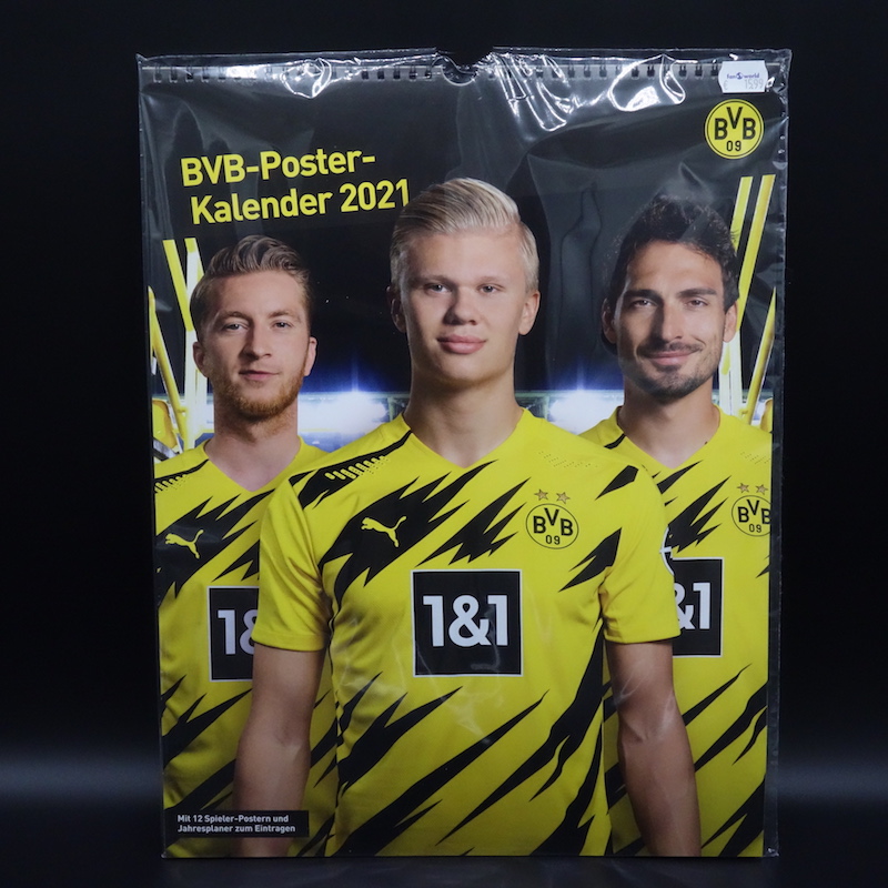 BVB Kalender