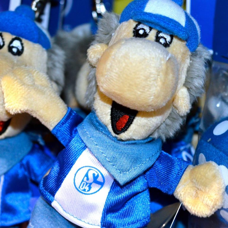 FC Schalke Erwin fanworld berlin